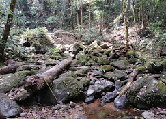 NOKREK NATIONAL PARK