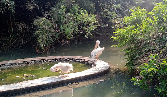 LADY HYDARI PARK Shillong, East Khasi Hills, Meghalaya