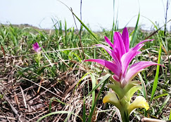 BALPAKRAM NATIONAL PARK