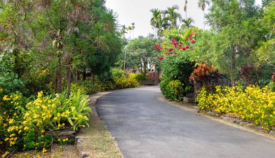 MAWLYNNONG VILLAGE East Khasi Hills, Meghalaya