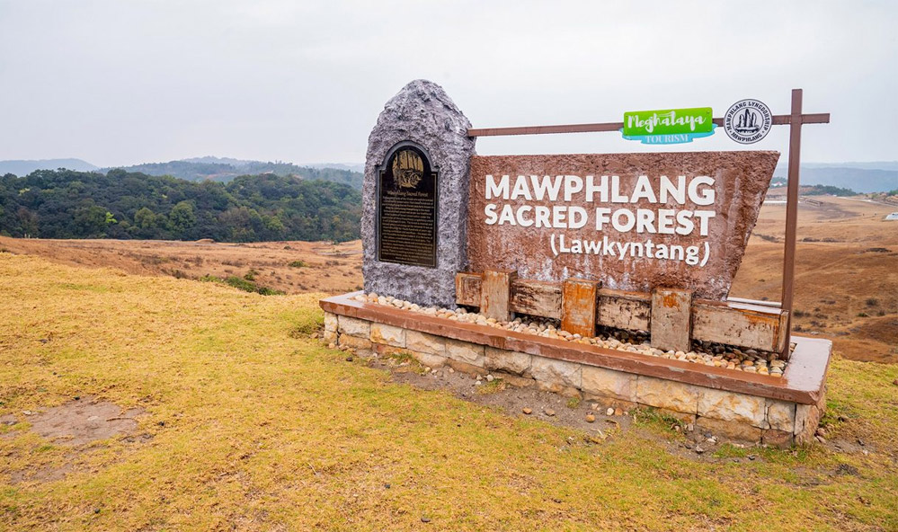 Mawphlang Sacred Forest