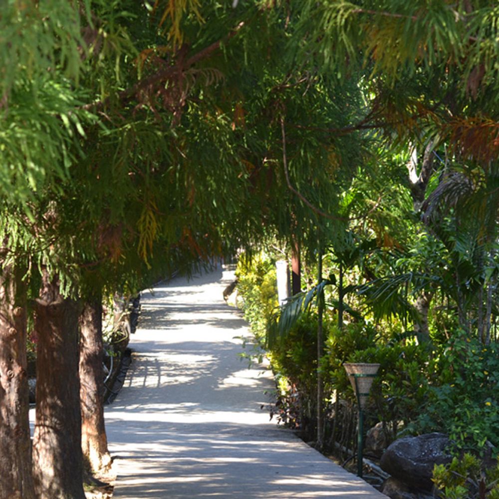 MAWLYNNONG VILLAGE: Asia's Cleanest Village