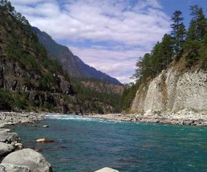A Birder’s Paradise: Arunachal Pradesh