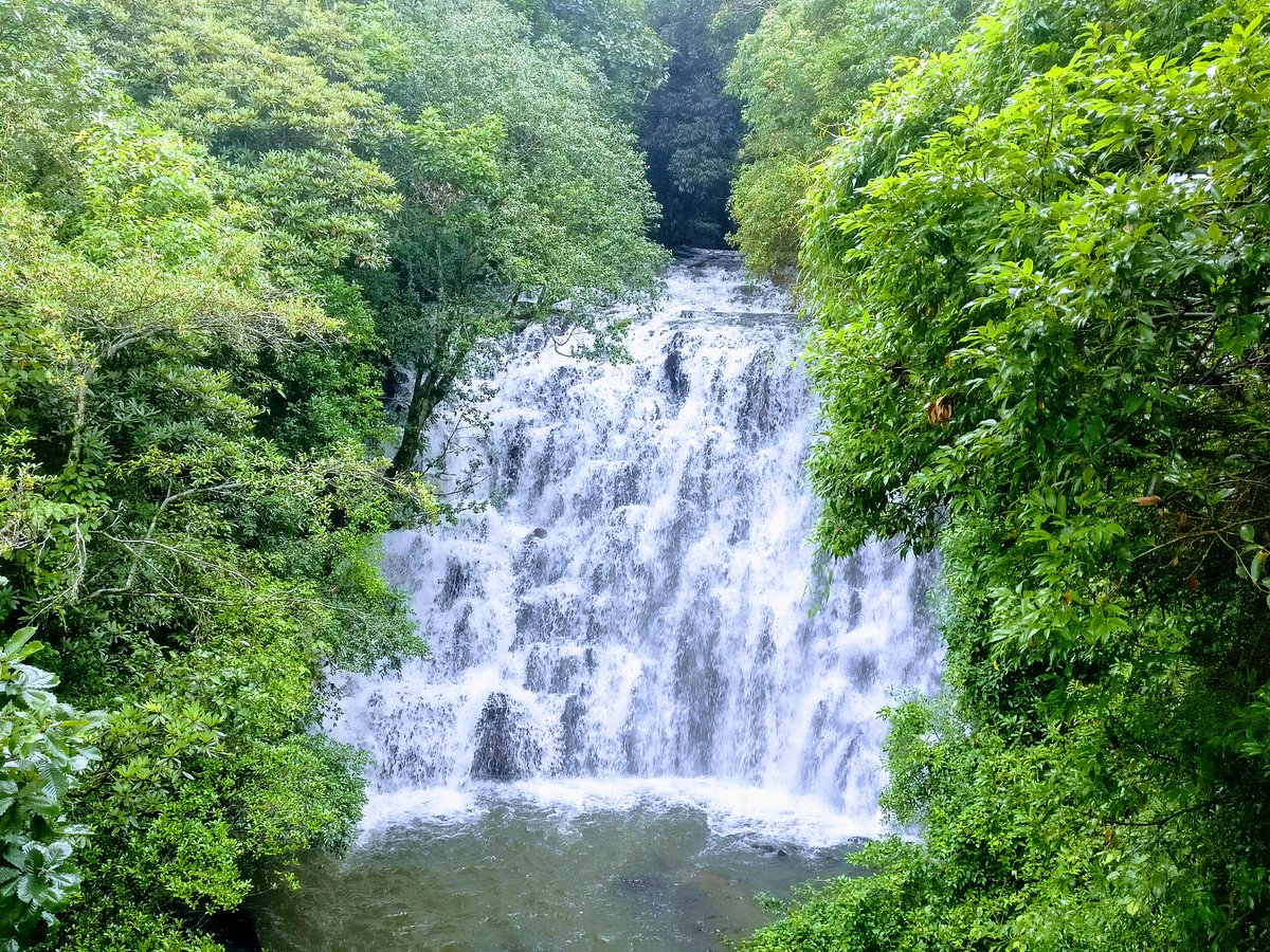 Shillong Cherrapunji Kaziranga Tour Package (6D/5N)