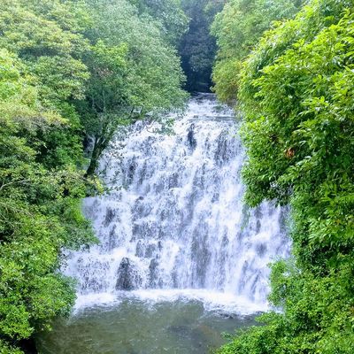 Meghalaya Kaziranga Kamakhya Journey