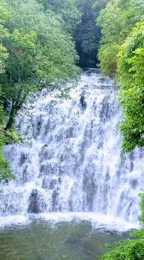 Shillong Cherrapunji Kaziranga Tour Package (6D/5N)